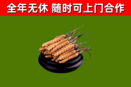 襄阳烟酒回收冬虫夏草.jpg