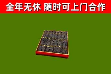 襄阳回收海参